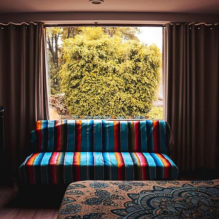 Suites Cuija Coyoacan Ciudad de México Exterior foto